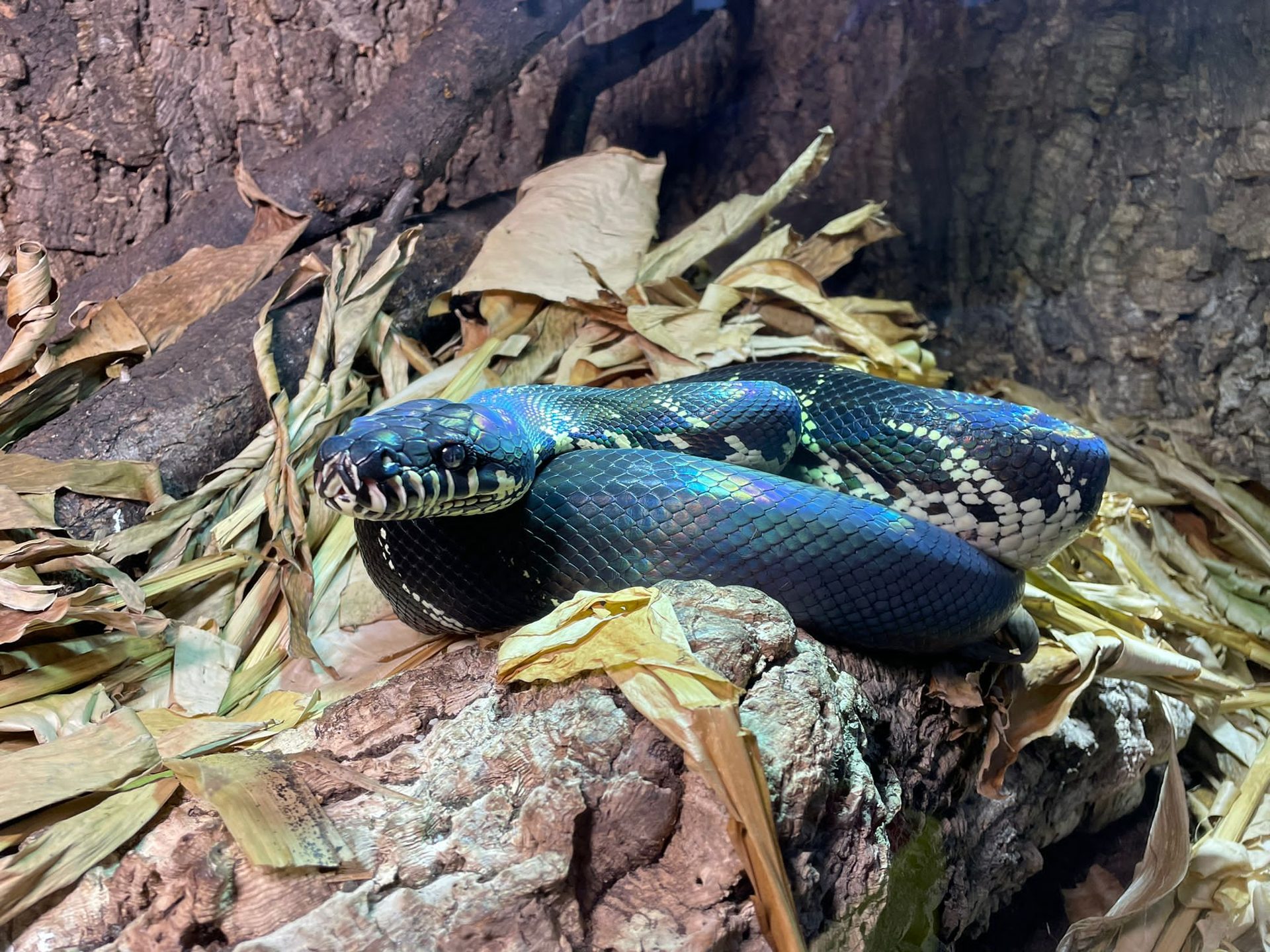 Exotische Tiere - ExotenVet Einzugsgebiet